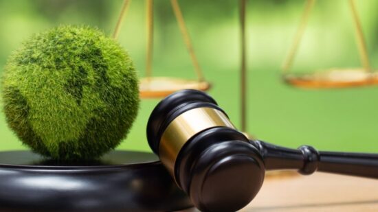 Environment Law. Green World and gavel